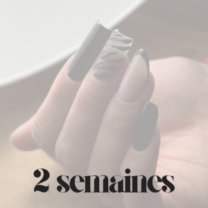 2 semaines - 2 000€